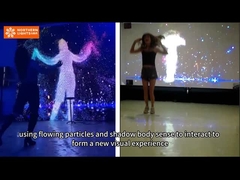 Système de projection murale pour le parc d'attractions