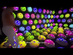 Le parc d'attractions intérieur de jeux de balles de saut interactifs