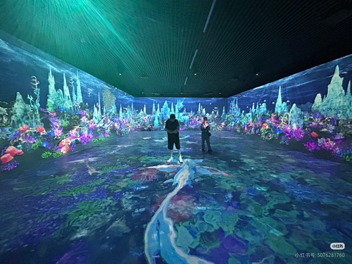 Dernières nouvelles de l'entreprise Transformez votre espace : la valeur inexploitée des jeux de projection au sol interactifs pour les entreprises et les lieux