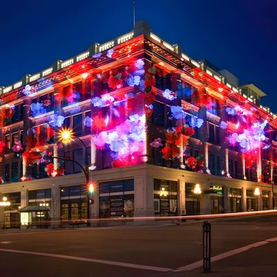 Bon prix Appareil de projection de lumière laser extérieure en ligne