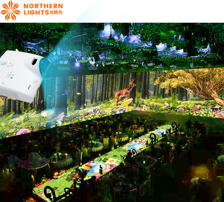 Bon prix Lumières du Nord Projecteur d'affichage holographique Dîner immersif pour le mariage en ligne