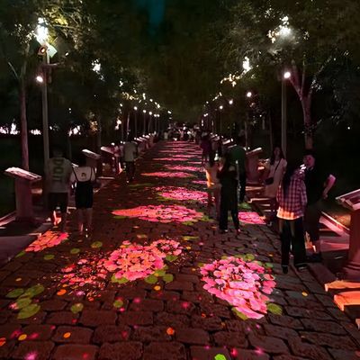 Bon prix Expérience de projection interactive en plein air Projection au sol Projection immersive en ligne