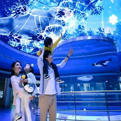 Bon prix Écran de ciel magique personnalisable Hologramme Canopy Projection Projecteur interactif en ligne