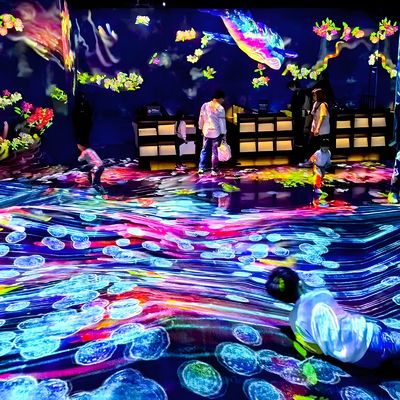 Bon prix Logiciel de projection interactive de mur 3D Holographique Expérience de salle immersive en ligne