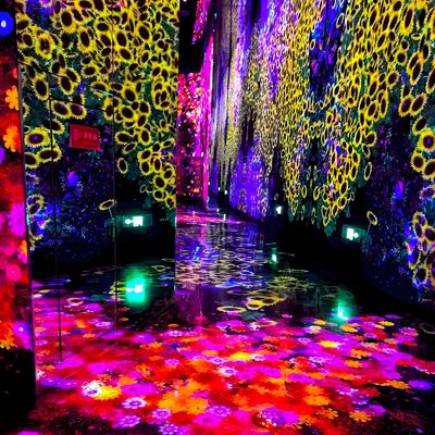 Bon prix Exposition immersive virtuelle 3D à l'œil nu en ligne