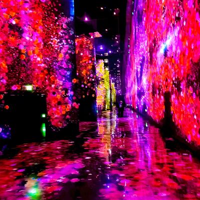 Bon prix Système de projection murale immersif romantique 360 Projecteur d'exposition d'art immersif en ligne
