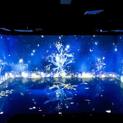 Bon prix Décoration des pièces Musée d'art numérique Exposition Projecteur de cartographie immersive 3d en ligne