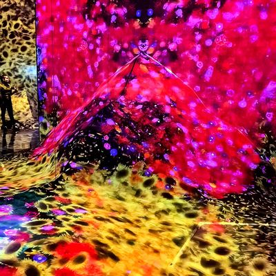 Bon prix Projection immersive 3D pour l'intérieur en ligne