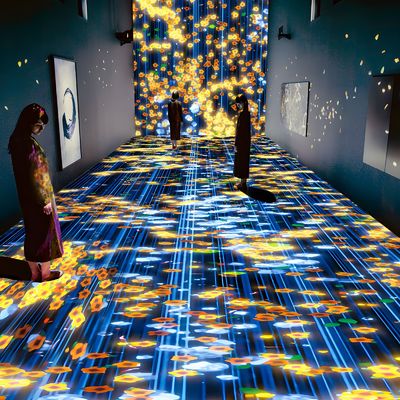 Bon prix Expérience immersive pour la formation à l'enseignement du projecteur interactif intérieur en ligne