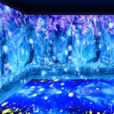 Bon prix Projecteur immersif 3D Projection murale pour musée en ligne