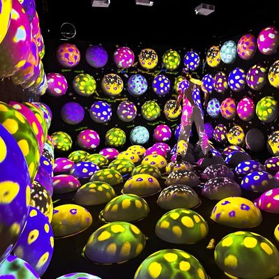 Bon prix Cool Jump Space Créativité Colorier Intérieur Interactif Jump Bouncing Ball Jeu en ligne