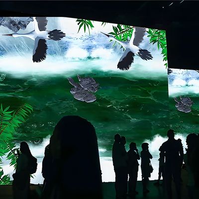 Bon prix Lumières du Nord Interactive Wall Kids Exploration spatiale Projection interactive en ligne