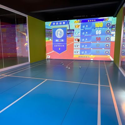 Bon prix Lumières du Nord Sports AR professionnels en salle Badminton Jeux de balle en salle en ligne