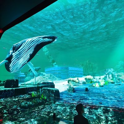 Bon prix Vue immersive en 3D HD avec écran à LED en ligne