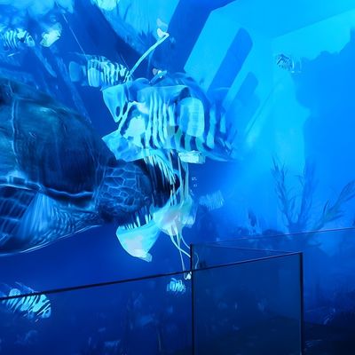 Bon prix Cinéma immersif en VR Simulateur dynamique Écran LED pour salle d'exposition en ligne