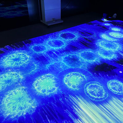 Bon prix Portable Mobile Interactive Floor Projection System with 1280*800 Resolution and 110V-250V Voltage en ligne